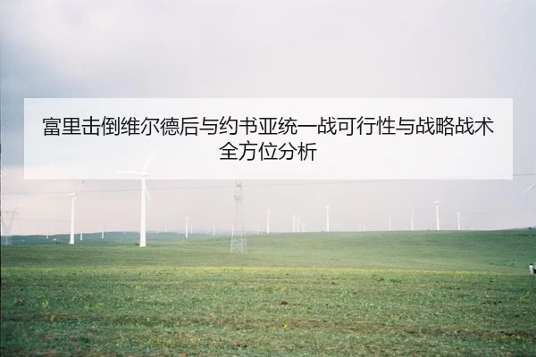 富里击倒维尔德后与约书亚统一战可行性与战略战术全方位分析